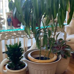 Meet your Posher, Martha